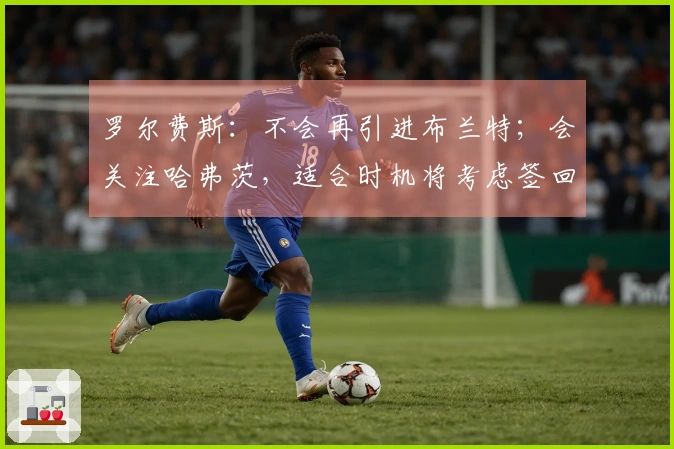 罗尔费斯：不会再引进布兰特；会关注哈弗茨，适合时机将考虑签回他